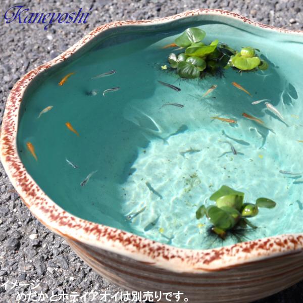 睡蓮鉢 めだか鉢 水鉢 陶器 おしゃれ 大型 サイズ 40cm 睡蓮鉢 めだか鉢 水鉢 陶器 おしゃれ 大型 サイズ 40cm