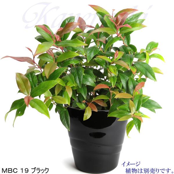 植木鉢 おしゃれ 安い 陶器 サイズ 20cm MBC19 6.5号 ブラック 受皿付