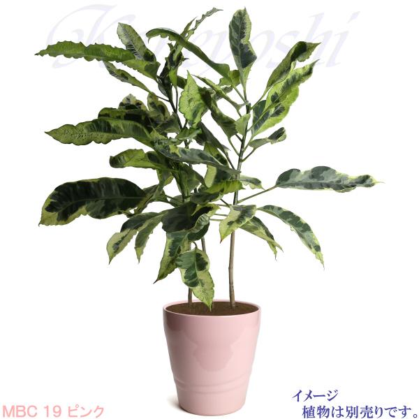 植木鉢 おしゃれ 安い 陶器 サイズ 20cm MBC19 6.5号 ピンク 室内 屋外 桃色｜docchan｜10