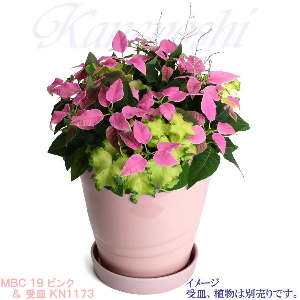 植木鉢 おしゃれ 安い 陶器 サイズ 20cm MBC19 6.5号 ピンク 室内 屋外 桃色｜docchan｜11