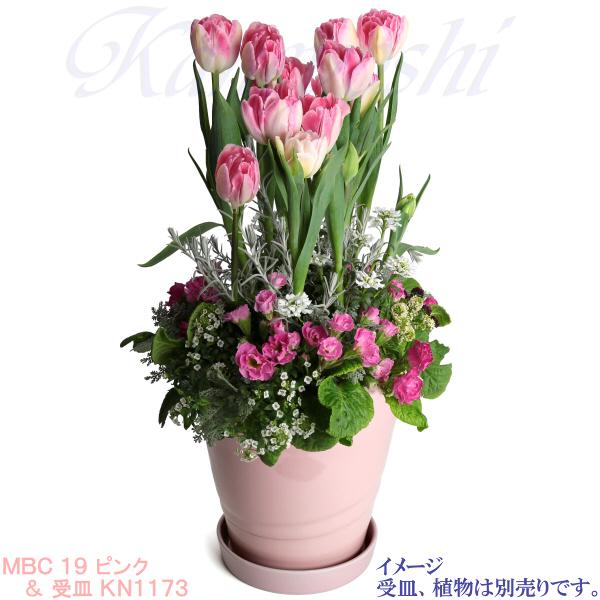 植木鉢 おしゃれ 安い 陶器 サイズ 20cm MBC19 6.5号 ピンク 植木鉢 おしゃれ 安い 陶器 サイズ 20cm MBC19 6.5号 ピンク