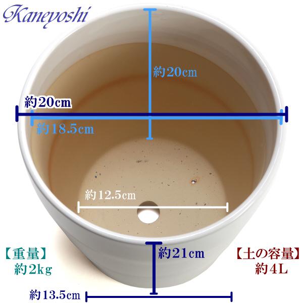 植木鉢 おしゃれ 安い 陶器 サイズ 20cm MBC19 6.5号 ホワイト 室内 屋外 白 色｜docchan｜04