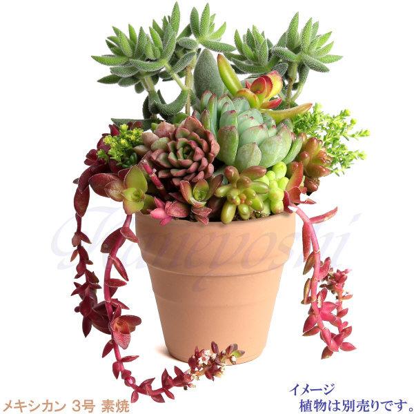 植木鉢 おしゃれ 安い 陶器 サイズ 10cm メキシカン 3号 素焼 室内 屋外 レンガ 色 |  | 05