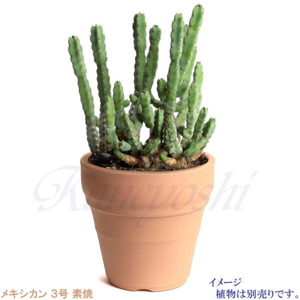 植木鉢 おしゃれ 安い 陶器 サイズ 10cm メキシカン 3号 素焼 室内 屋外 レンガ 色 |  | 06