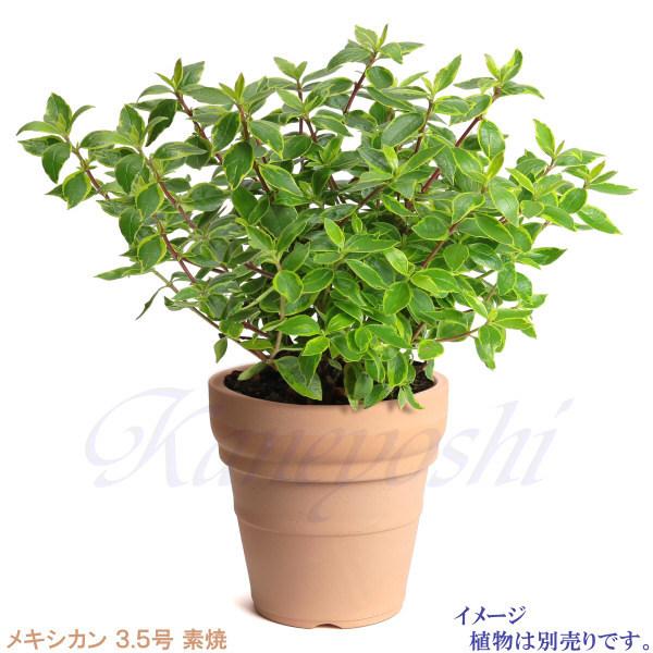 植木鉢 おしゃれ 安い 陶器 サイズ 11.5cm メキシカン 3.5号 素焼 室内 屋外 レンガ 色 |  | 05