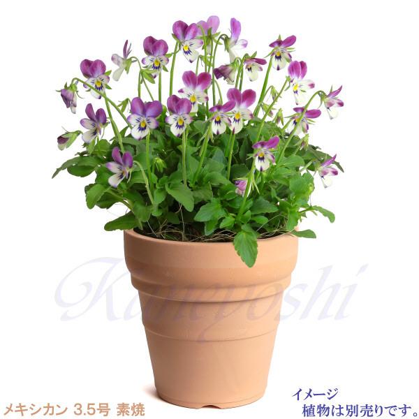 植木鉢 おしゃれ 安い 陶器 サイズ 11.5cm メキシカン 3.5号 素焼 室内 屋外 レンガ 色 |  | 06