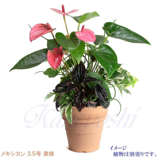 植木鉢 おしゃれ 安い 陶器 サイズ 11.5cm メキシカン 3.5号 素焼 室内 屋外 レンガ 色 |  | 07