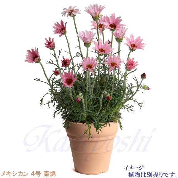 植木鉢 おしゃれ 安い 陶器 サイズ 12.5cm メキシカン 4号 素焼 室内 屋外 レンガ 色 |  | 06