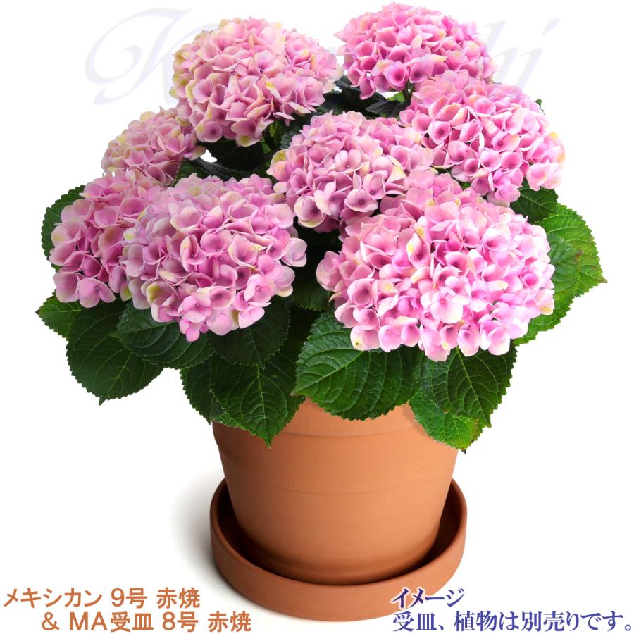 植木鉢 おしゃれ 安い 陶器 サイズ 28.5cm メキシカン ９号 赤焼 室内 屋外 レンガ 色 |  | 11