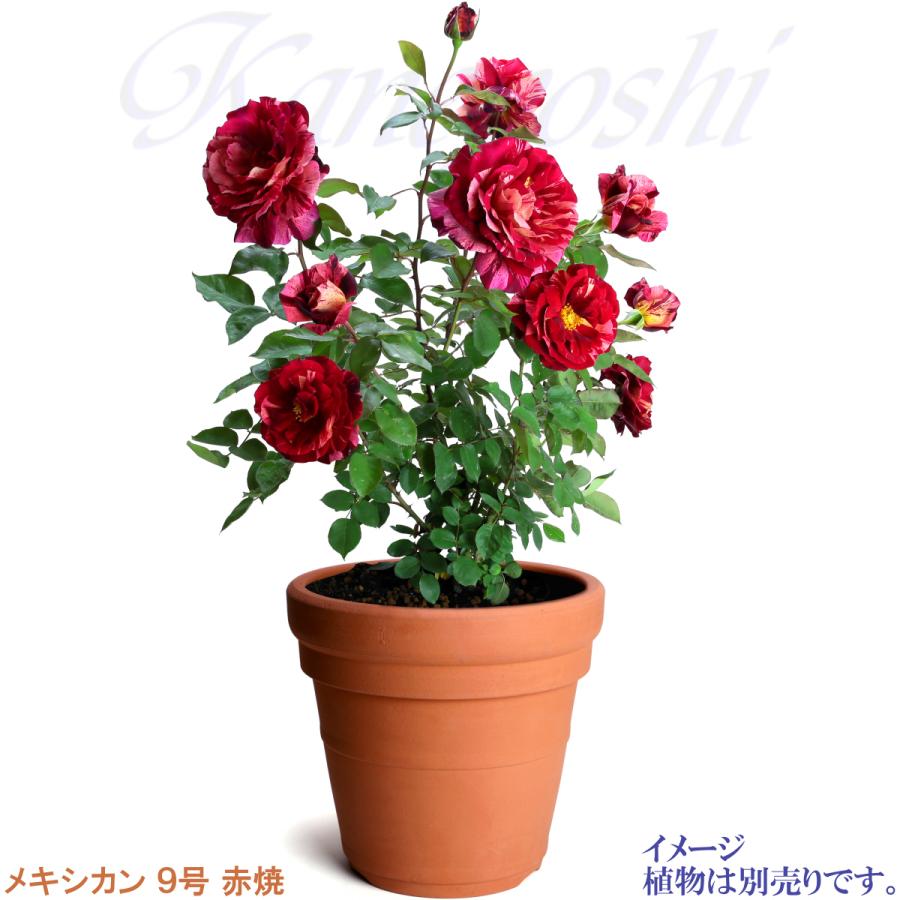 植木鉢 おしゃれ 安い 陶器 サイズ 28.5cm メキシカン ９号 赤焼 室内 屋外 レンガ 色 |  | 06