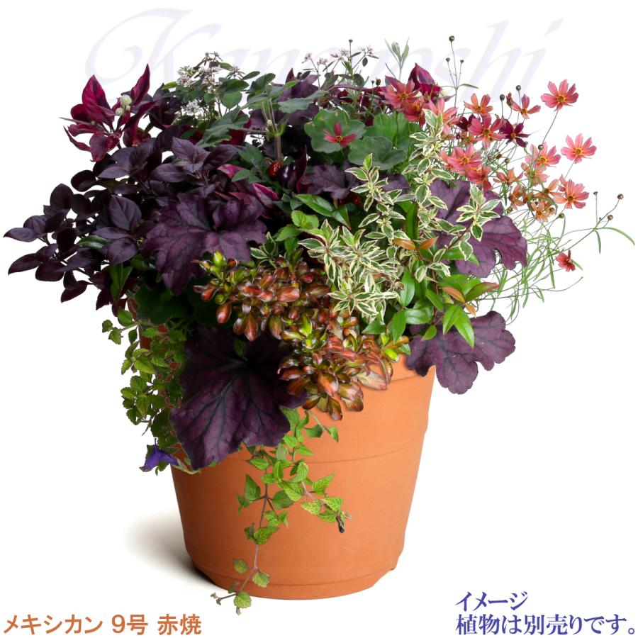 植木鉢 おしゃれ 安い 陶器 サイズ 28.5cm メキシカン ９号 赤焼 室内 屋外 レンガ 色 |  | 07