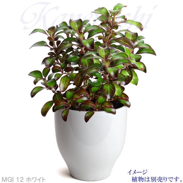 植木鉢 おしゃれ 安い 陶器 サイズ 12cm MGI-12 4号 ホワイト 植木鉢 おしゃれ 安い 陶器 サイズ 12cm MGI-12 4号 ホワイト