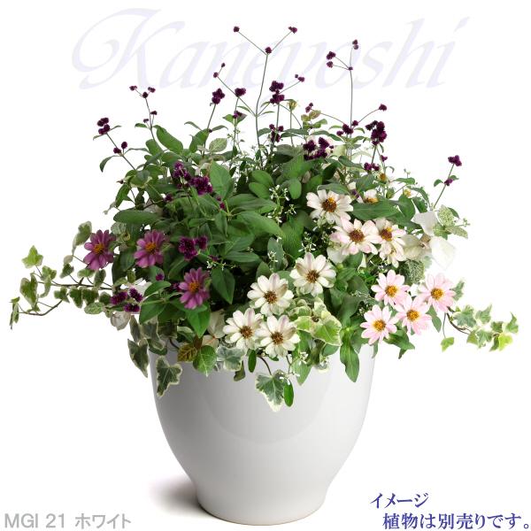 植木鉢 おしゃれ 安い 陶器 サイズ 21cm MGI-21 7号 ホワイト