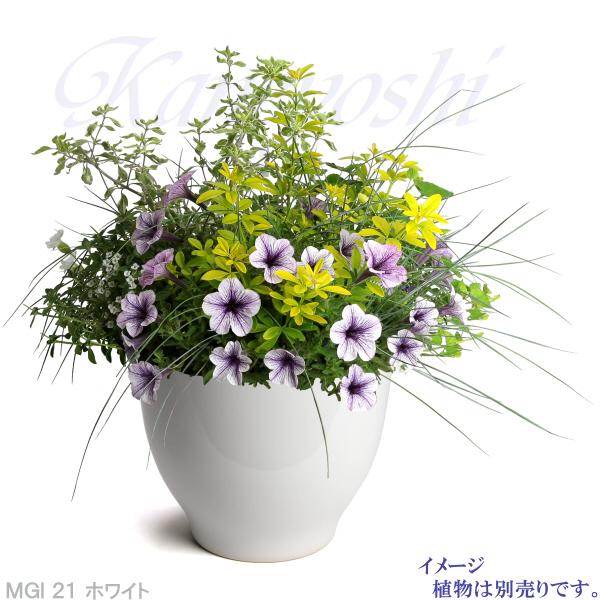 鉢 21cm 7号鉢(21cm) – KUROKO