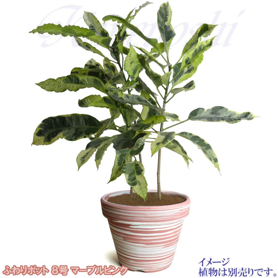 植木鉢 おしゃれ 安い 陶器 サイズ 25cm ふわりポット 8号  マーブルピンク　室内 屋外 桃 白 色 常滑焼 |  | 06