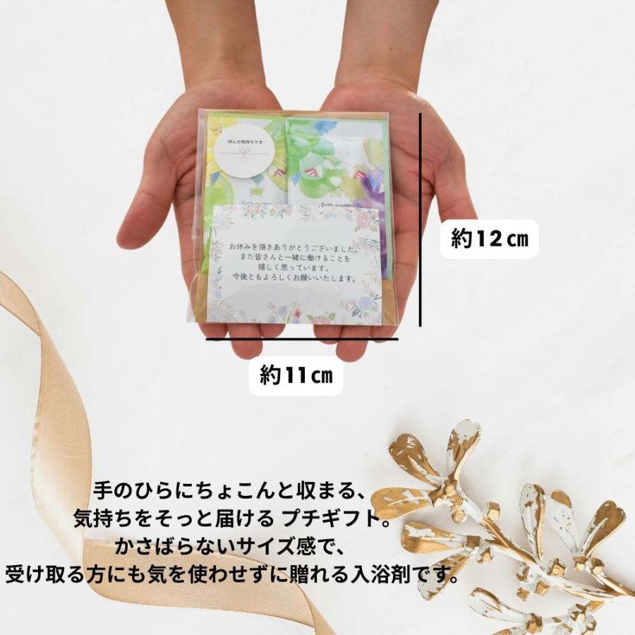 入浴剤 ギフト 2包 10セット 4種アソート プチギフト ラッピング済み