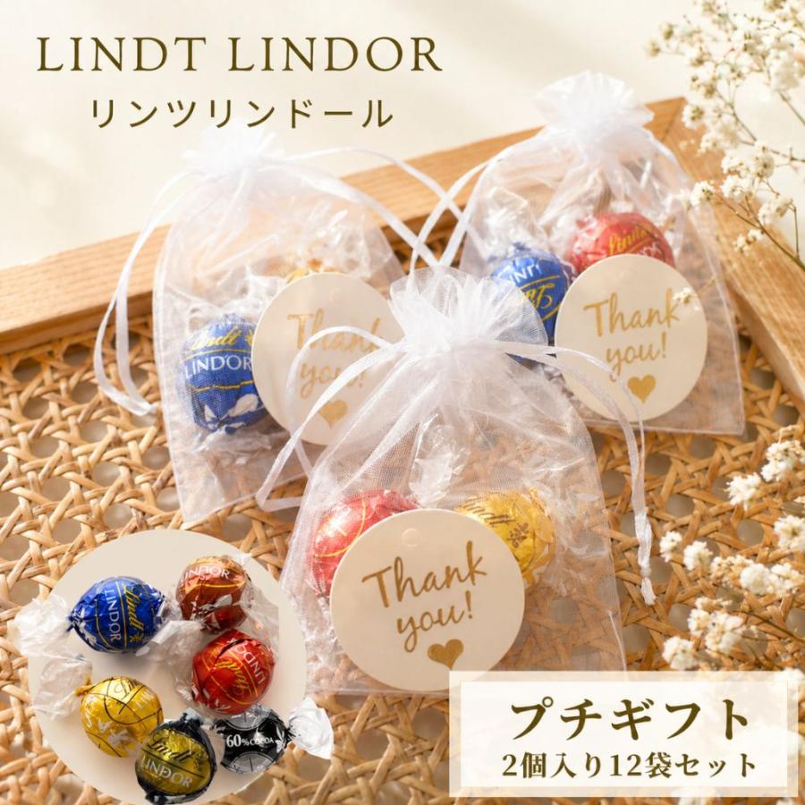 リンツ 詰め合わせ 12袋セット thank youカード入り メール便 チョコ