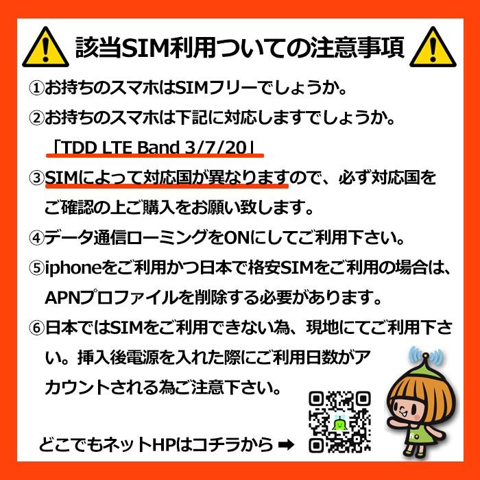 ヨーロッパ 周遊 プリペイド SIMカード 4G データ 通信 28日間 6GBデータ通信+現地内通話付 送料無料 あすつく｜docodemo｜03