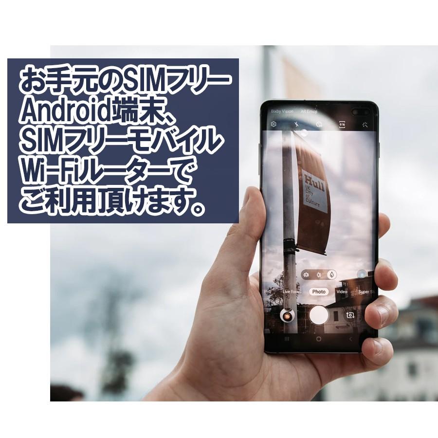日本 ソフトバンク 格安 SIM プリペイド データ通信 SIMカード SoftBank 純正 4G/LTE 30GB/月 大容量 テレワーク 在宅ワーク 送料無料｜docodemo｜03