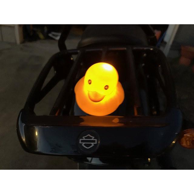 ひよこライダー　光る　バイク　ハーレー　ニンジャ　GPZ900R　プレゼント　可愛い　子供　誕生日　点滅　納車記念　スクーター　自転車 |  | 01