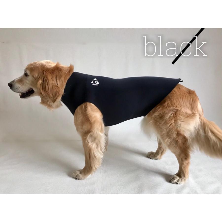 ドッグウェットスーツ 大型犬用 8号サイズ : ASEA - 通販 - Yahoo 