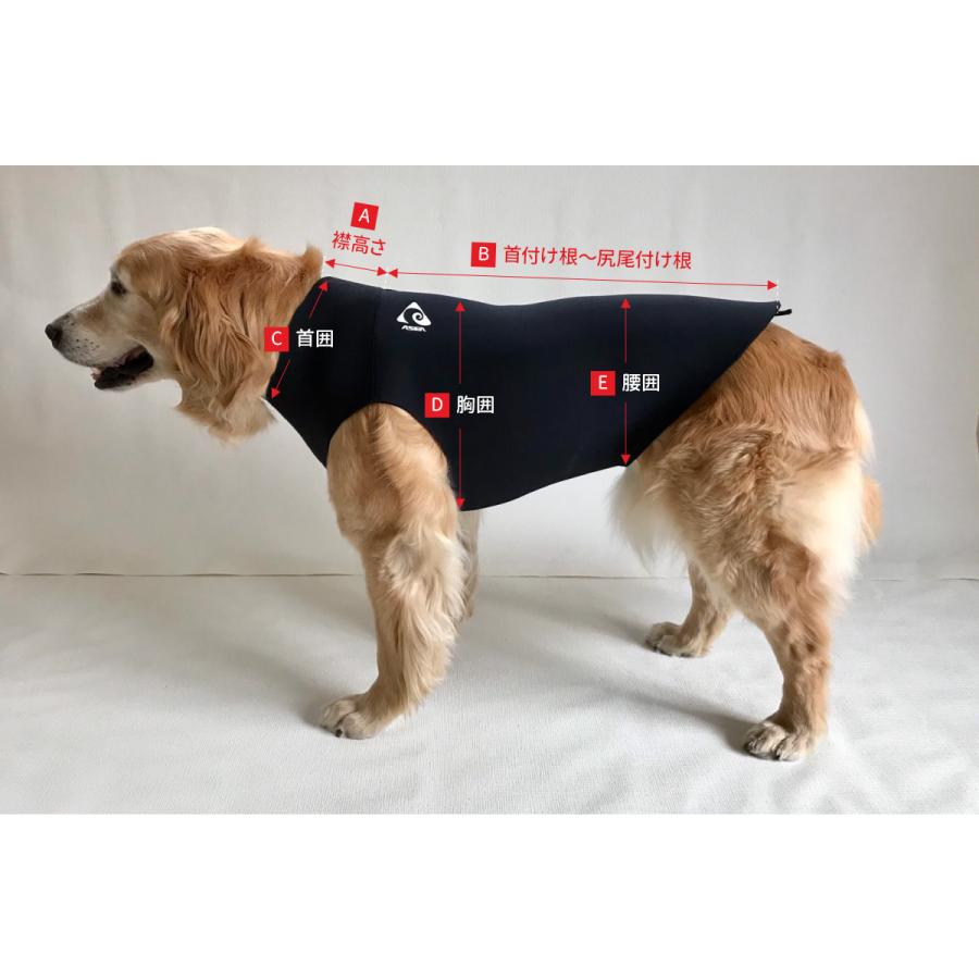 NEWドッグウェットスーツ 大・中型犬用 7号サイズ : ASEA - 通販