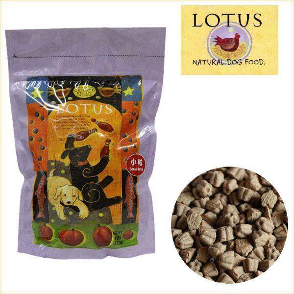 ロータス LOTUS パピードッグ チキンレシピ 小粒 1袋2.72kg 1060101puremiam無添加フード専門店ドッグハウス