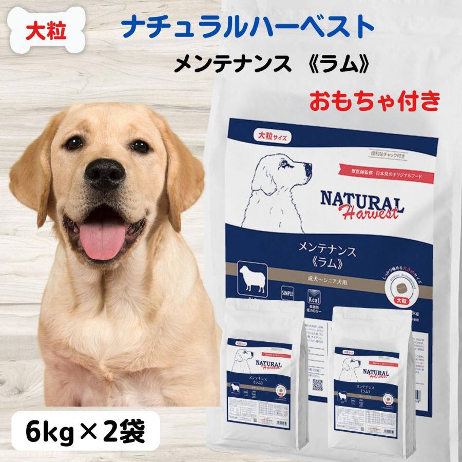 ナチュラルハーベスト ラム ドッグフード 大型犬 シニア 送料無料 