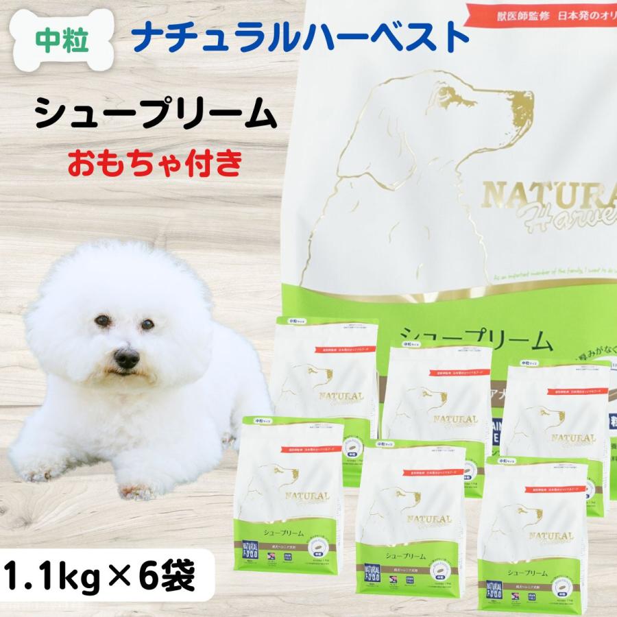 送料無料】 ナチュラルハーベスト NATURAL Harvest シュープリーム 1.1