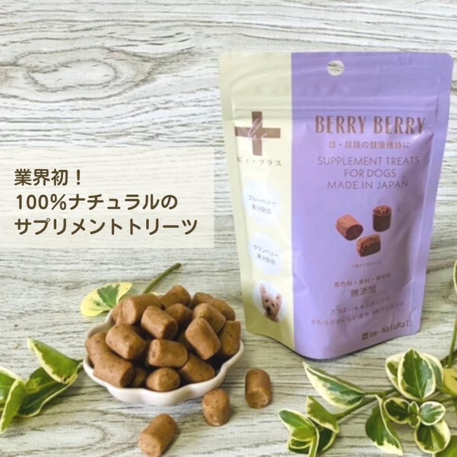 ビィ・プラス ベリィベリィ 粒タイプ 75g 目のサポート 尿路の ビィ・プラス ベリィベリィ 粒タイプ 75g 目のサポート 尿路の
