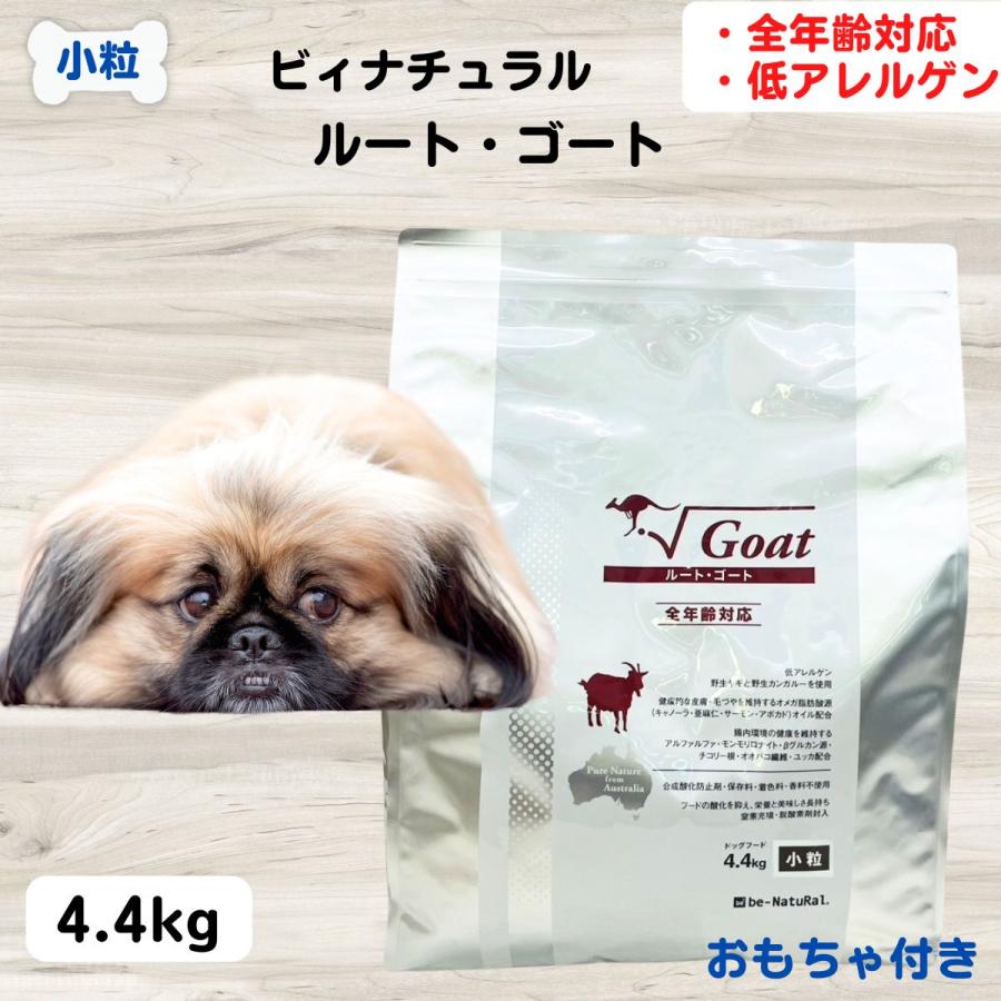 1袋】ビィナチュラル ルート ゴート 小粒 4.4kg 【公式通販】