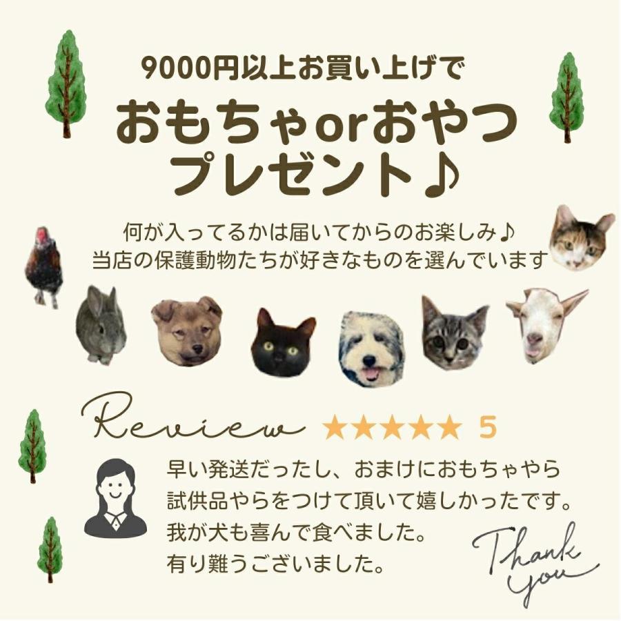 ペットカインド ドッグフード 無添加 お試し 2.72kg×2袋＋230g付 送料無料 犬用_9