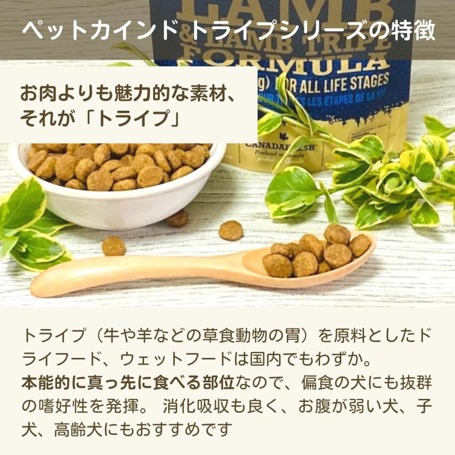 ペットカインド 小粒 ドッグフード 無添加 グリーンラムトライプSAP