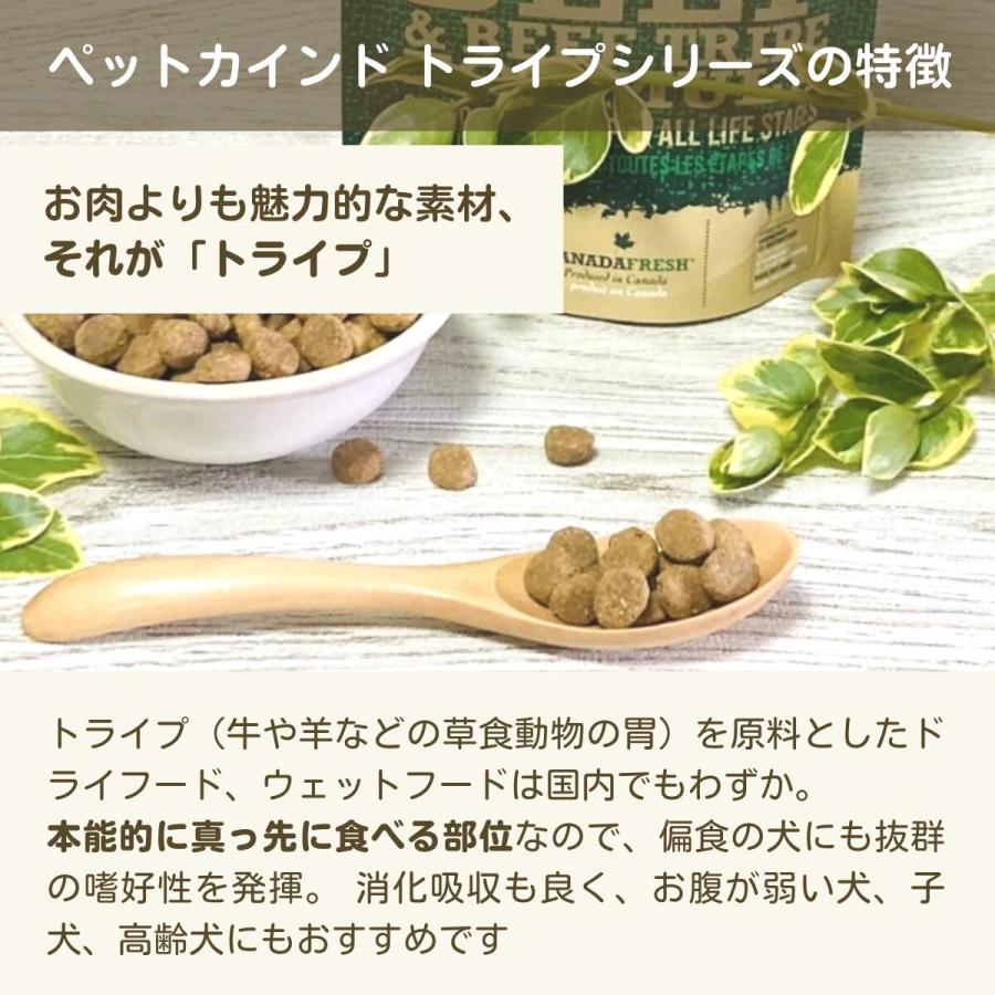 ペットカインド（PetKind） ドッグフード 無添加 小粒 グリーンビーフ