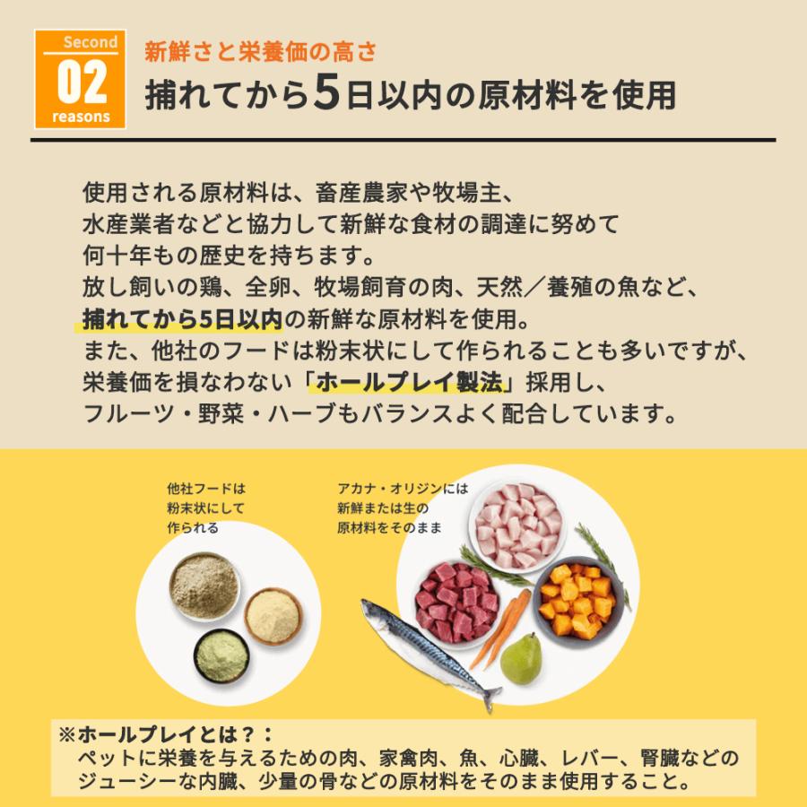 ACANA（アカナ） アダルトスモールブリードレシピ 2kg : 豊富な品揃え