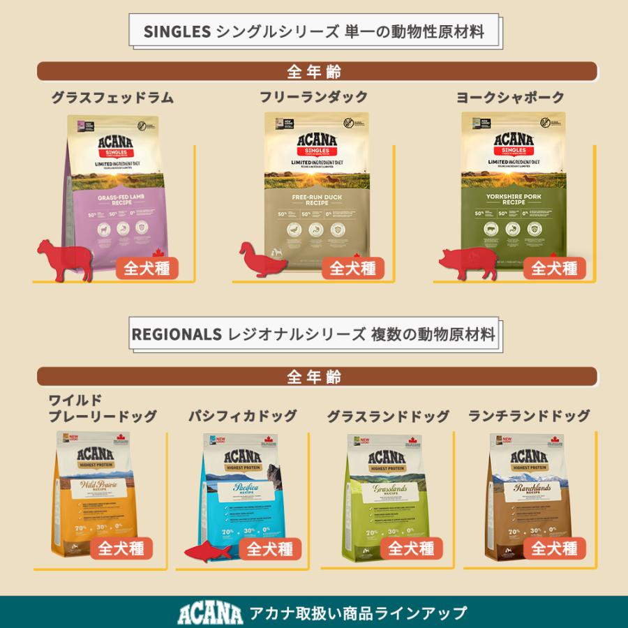 ACANA（アカナ） アダルトスモールブリードレシピ 6kg : 豊富な品揃え