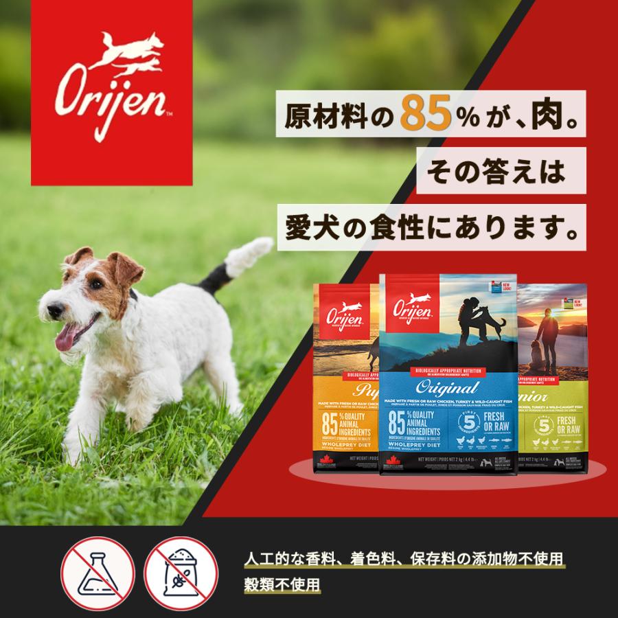 Ry S　【未開封】オリジン　シニア　11.4kg2袋セット ORIJEN（オリジン） オリジンシニア 11.4kg : 豊富な品揃えペット用品