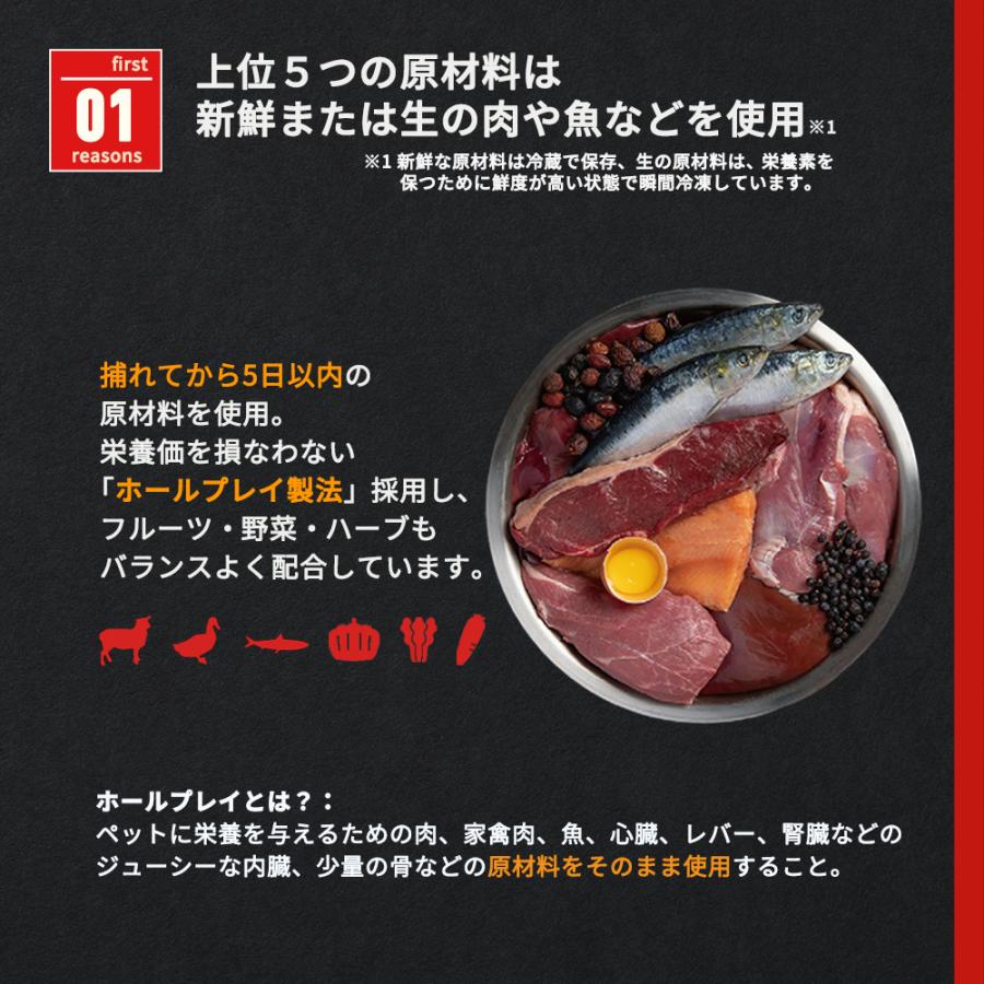 ORIJEN（オリジン） オリジンシニア 11.4kg : 豊富な品揃えペット用品