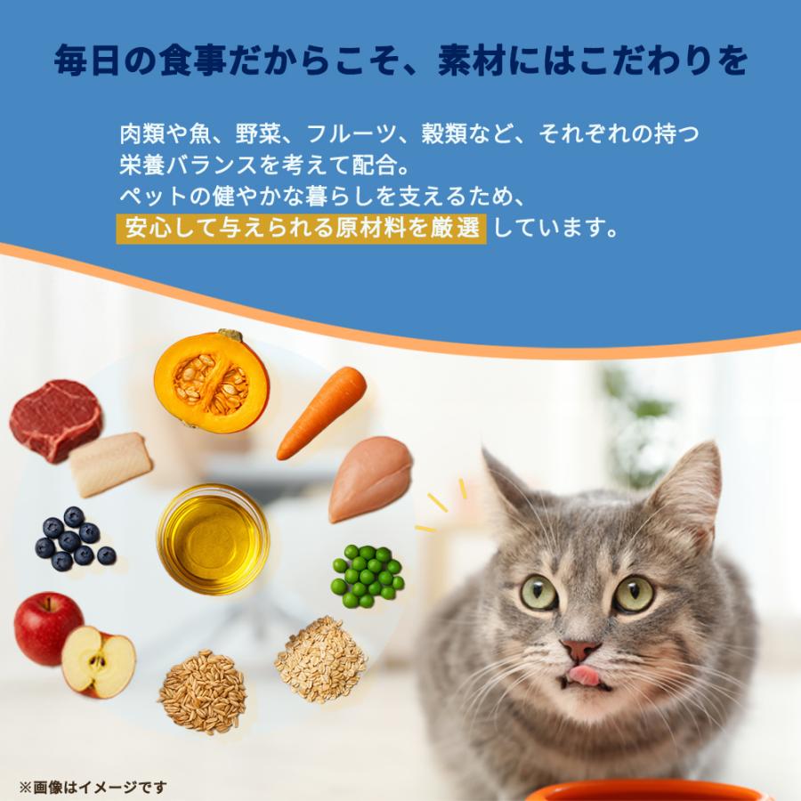 ソリッドゴールド KMT インディゴムーン 2kg 賞味期限:2027/10/10