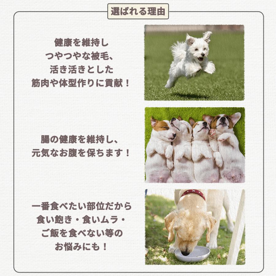 ペットカインド（PetKind） トライプドライ グリーンベニソントライプ