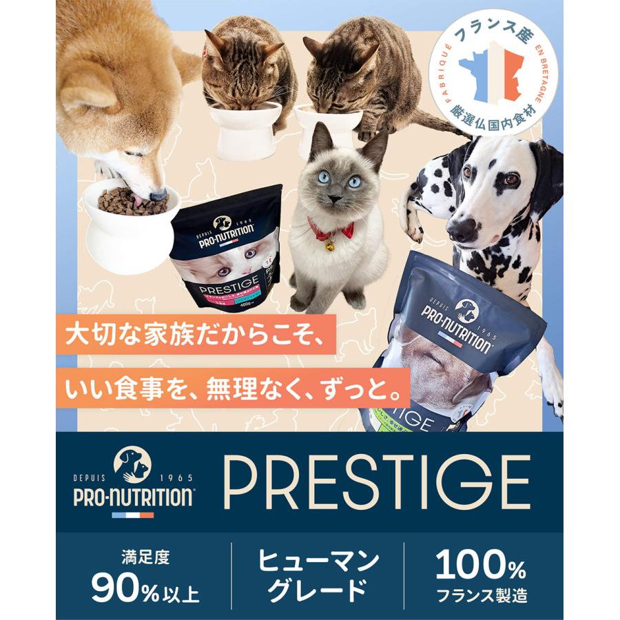 リードバディ プレスティージ猫用 エイジングケア避妊去勢 チキン 10Kg PRESTIGE（プレスティージ） リードバディ 猫用 エイジングケア 避妊