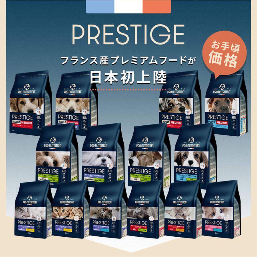 PRESTIGE（プレスティージ） リードバディ 猫用 エイジングケア 避妊