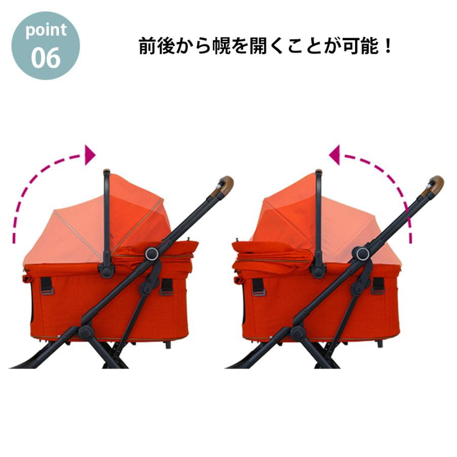 compet コンビ コムペット ルルテイルキャリー ( キラウエアレッド