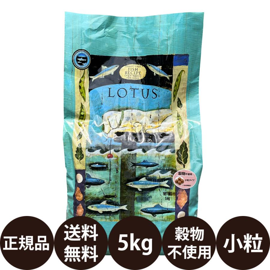 ロータス グレインフリー フィッシュレシピ 小粒 5kg 賞味期限