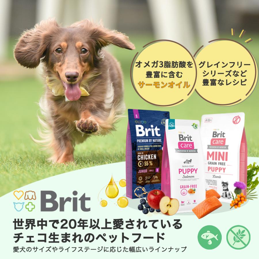 Brit（ブリット） Britケアミニ グレインフリー ヘアー＆スキン