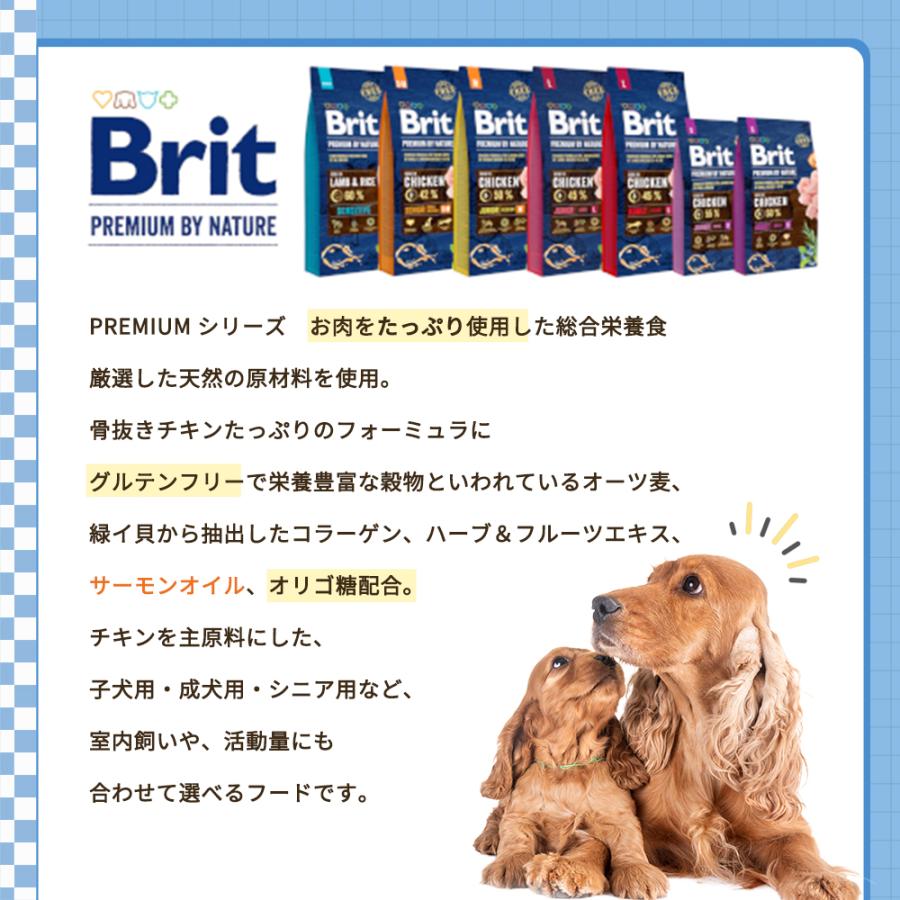 Brit（ブリット） Britケアミニ グレインフリー ヘアー＆スキン
