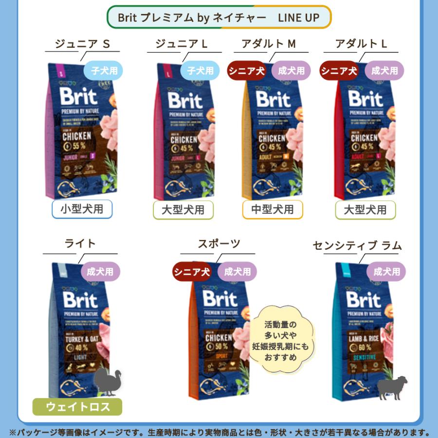 Brit（ブリット） Britケアミニ グレインフリー ヘアー＆スキン
