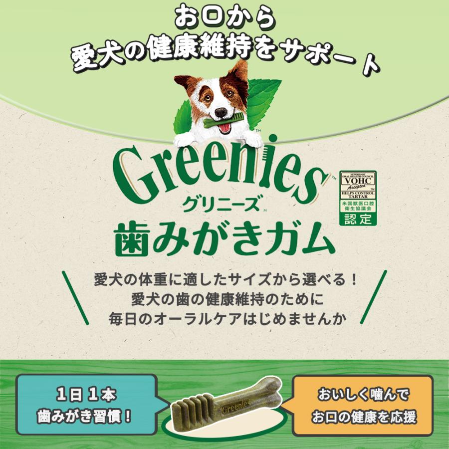 グリニーズ プラス 犬 おやつ グリニーズプラス 成犬用 超小型犬用 1.3