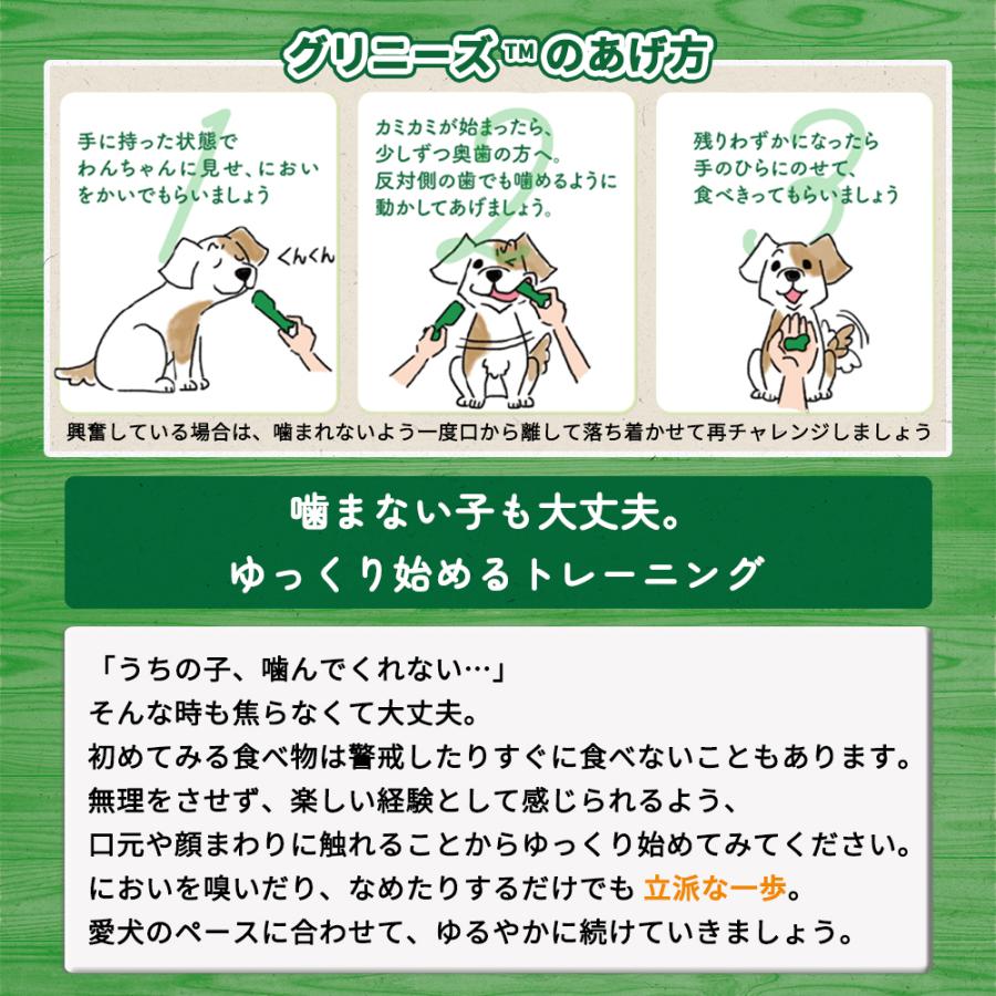 グリニーズ プラス 犬 おやつ グリニーズプラス 成犬用 超小型犬用 1.3