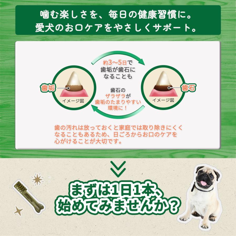 グリニーズ プラス 犬 おやつ グリニーズプラス 口臭ケア フレッシュ